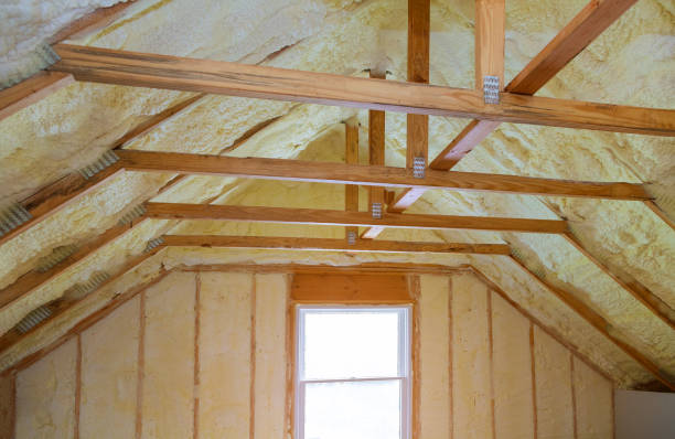 Best Insulation Maintenance and Repair in Ridgway, CO
