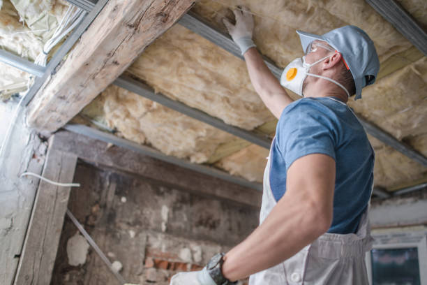 Professional Insulation Contractor in CO