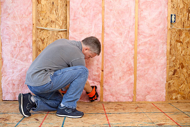 Best Residential Insulation in Ridgway, CO